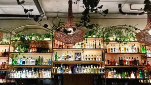 A bar area with shelves stocked with various liquor bottles, hanging plants, and a green neon sign. - Jupiter NEXT (Portland)