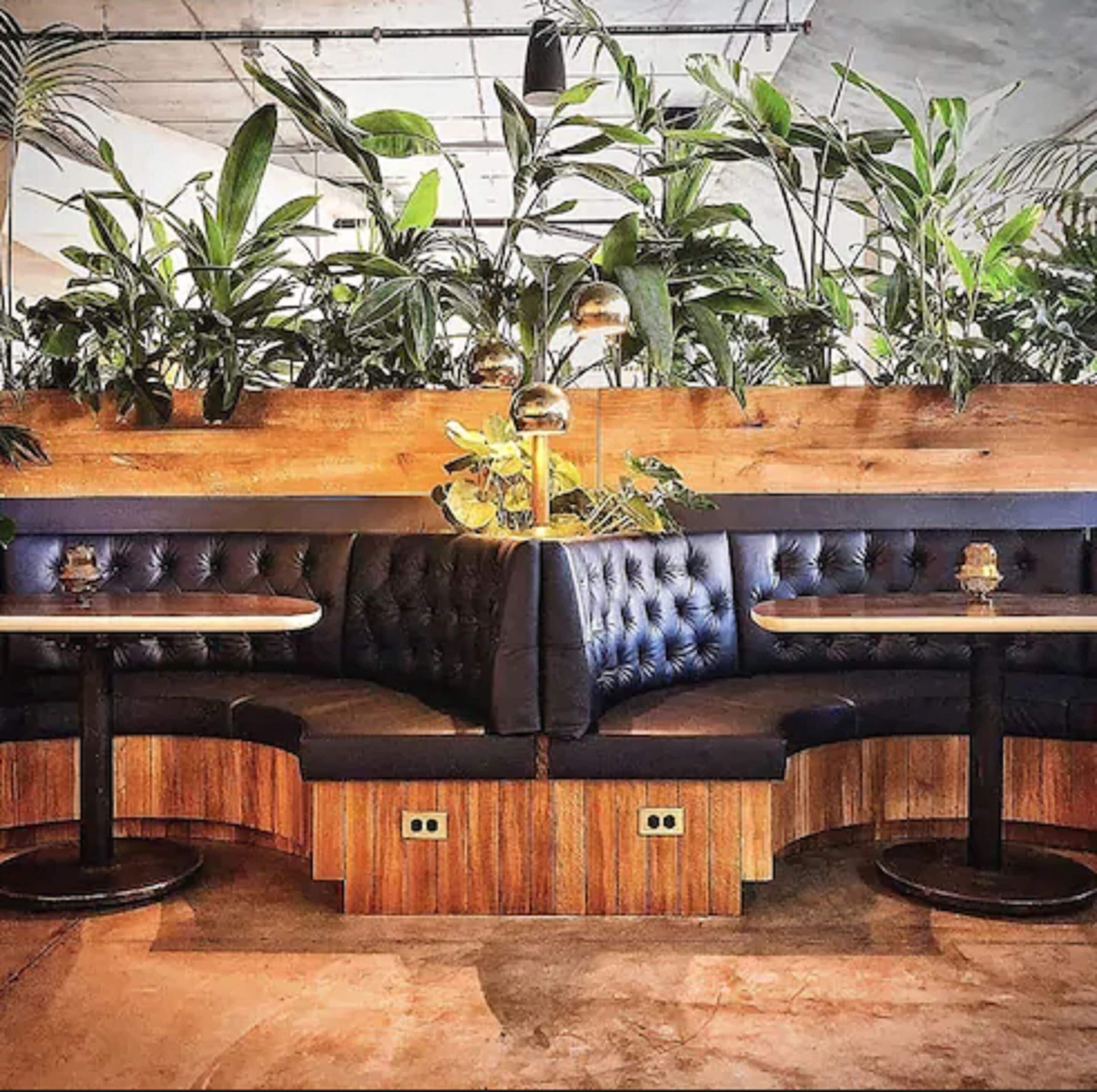 lunch, dinner and brunch served