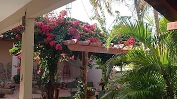 Televisión de pantalla plana