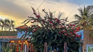 Una casa con un árbol frondoso en primer plano, una valla de madera y un cielo despejado.
