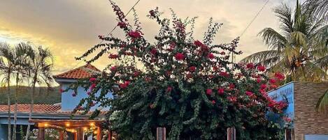 Façade de l’hébergement