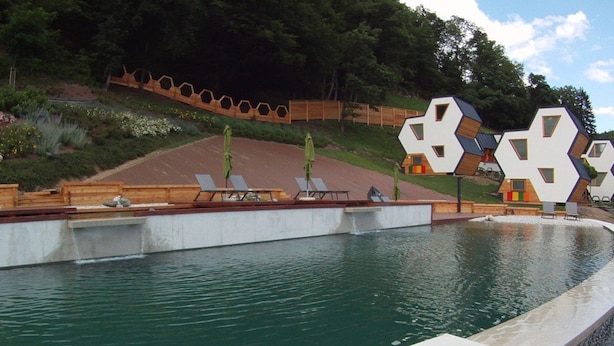 A swimming pool with a wooden deck and lounge chairs, surrounded by a landscaped garden and a hillside.