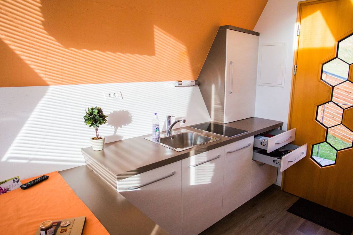 Una cocina compacta con un lavamanos de acero inoxidable, una pequeña planta en maceta y una puerta de madera con diseño de panal.