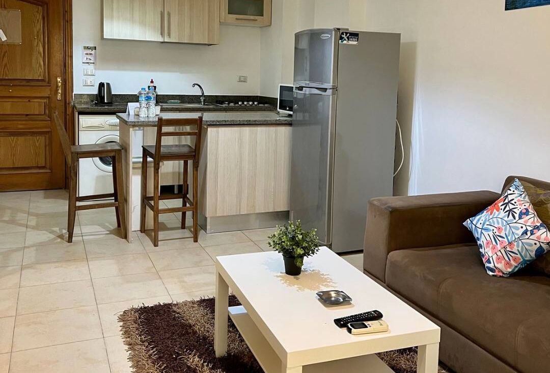 Un espace de vie compact comprenant un coin cuisine, un coin repas avec deux chaises, un canapé et une table basse agrémentée d’une plante et de télécommandes.