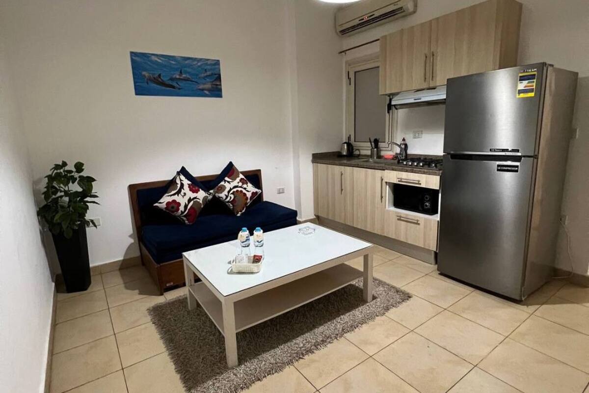 A compact living space with a sofa, a coffee table, a kitchen area including a refrigerator and stove, and a potted plant.