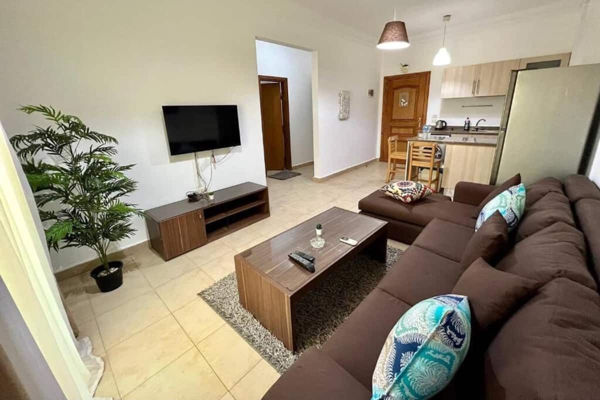 A modern living room with a brown sofa, a coffee table, a TV, and a potted plant.