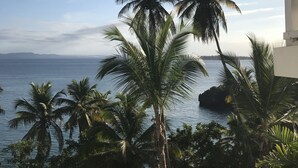 A view of palm trees and a body of water, likely a sea or ocean, with a distant landmass. - Vista Mare Samana Ocean View Top Floor 1 Bed (Samaná)