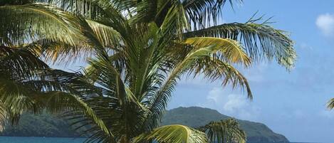 On the beach, white sand