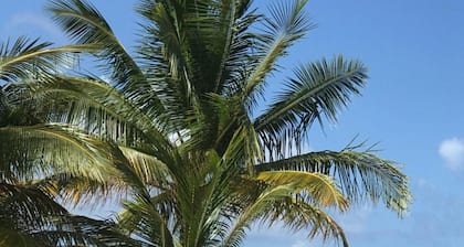Vista Mare Samana Ocean View Top Floor 1 Bed