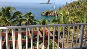 A balcony with a view of the ocean and palm trees. - Vista Mare Samana Ocean View Top Floor 1 Bed (Samaná)