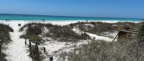 Playa en los alrededores