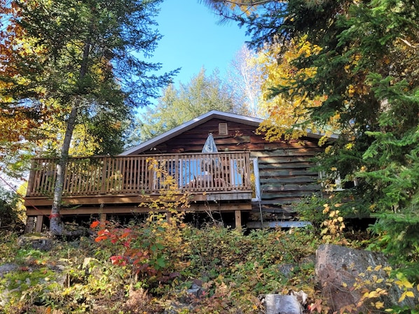 A rustic cabin with a wooden deck and a small porch, surrounded by dense forest and autumn foliage.