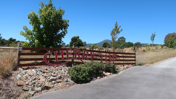 Ein hölzernes Schild mit dem Schriftzug "CHERRY TOP" in großen Buchstaben, umgeben von Grünpflanzen und blauem Himmel.