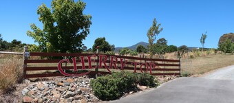 Cherry Top Accommodation - Cherry Top