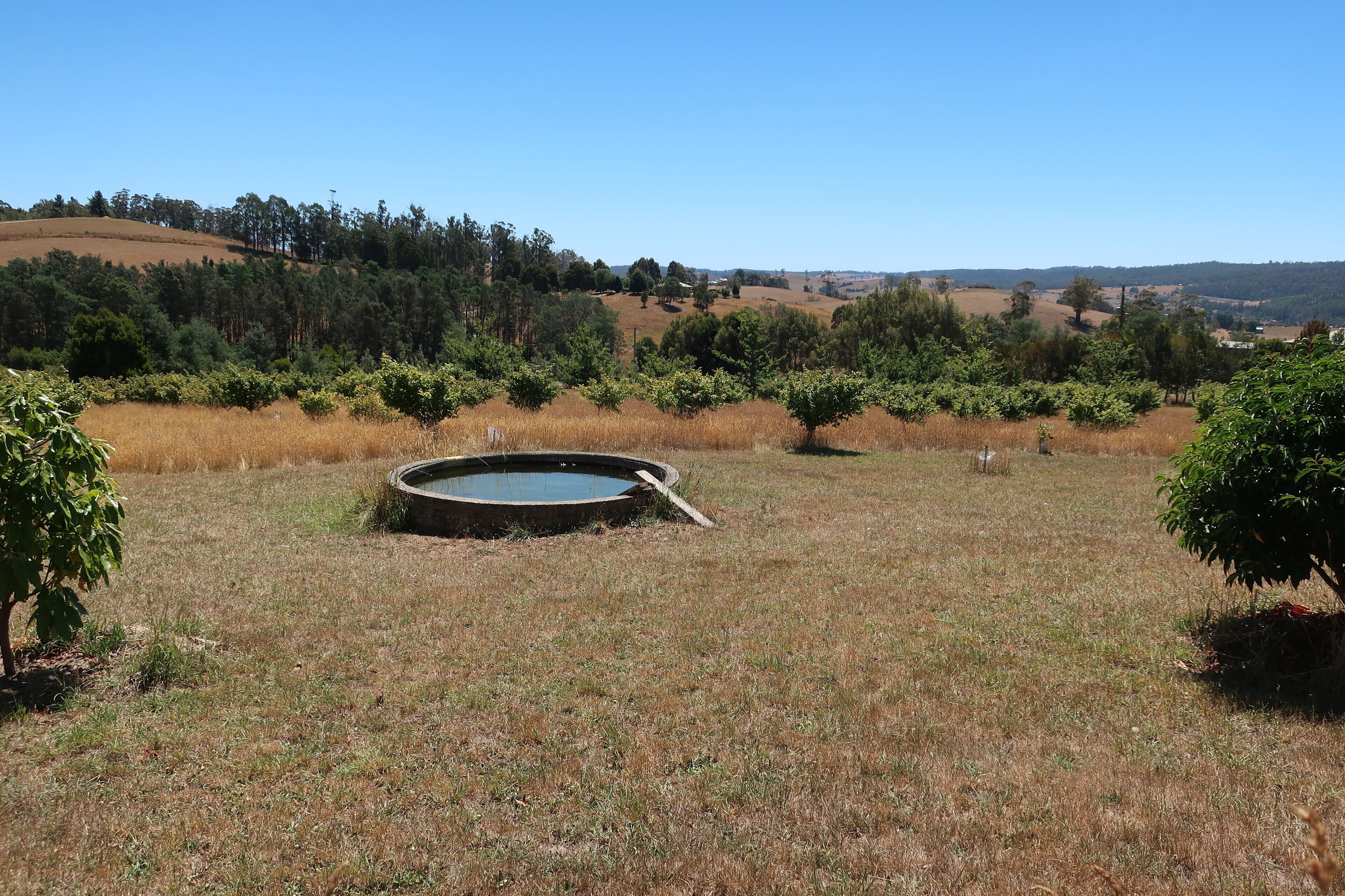 Cherry Top Accommodation - Cherry Top — image 26