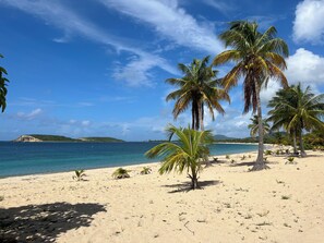 Ein Strand mit Palmen und blauem Himmel.