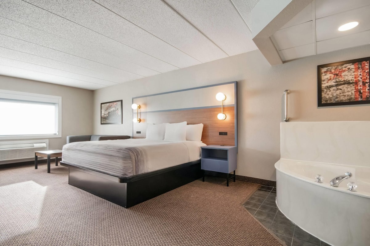 Deluxe Studio Suite, 1 King Bed, Non Smoking | Desk, laptop workspace, blackout drapes, iron/ironing board