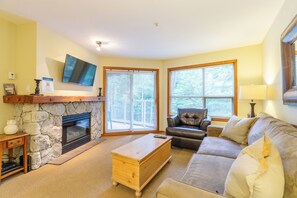 TV, fireplace, DVD player