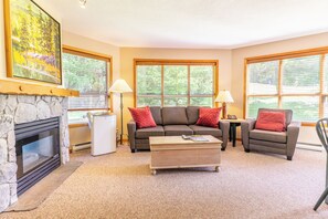 Televisión, chimenea y reproductor de DVD 