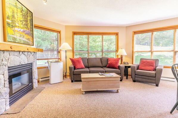 TV, fireplace, DVD player