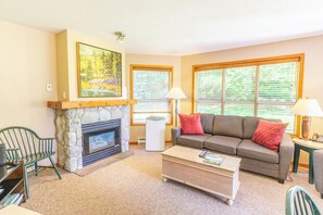 TV, fireplace, DVD player