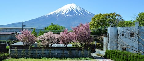 Pemandangan dari kamar