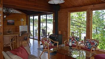 Televisión, chimenea, reproductor de DVD y estéreo