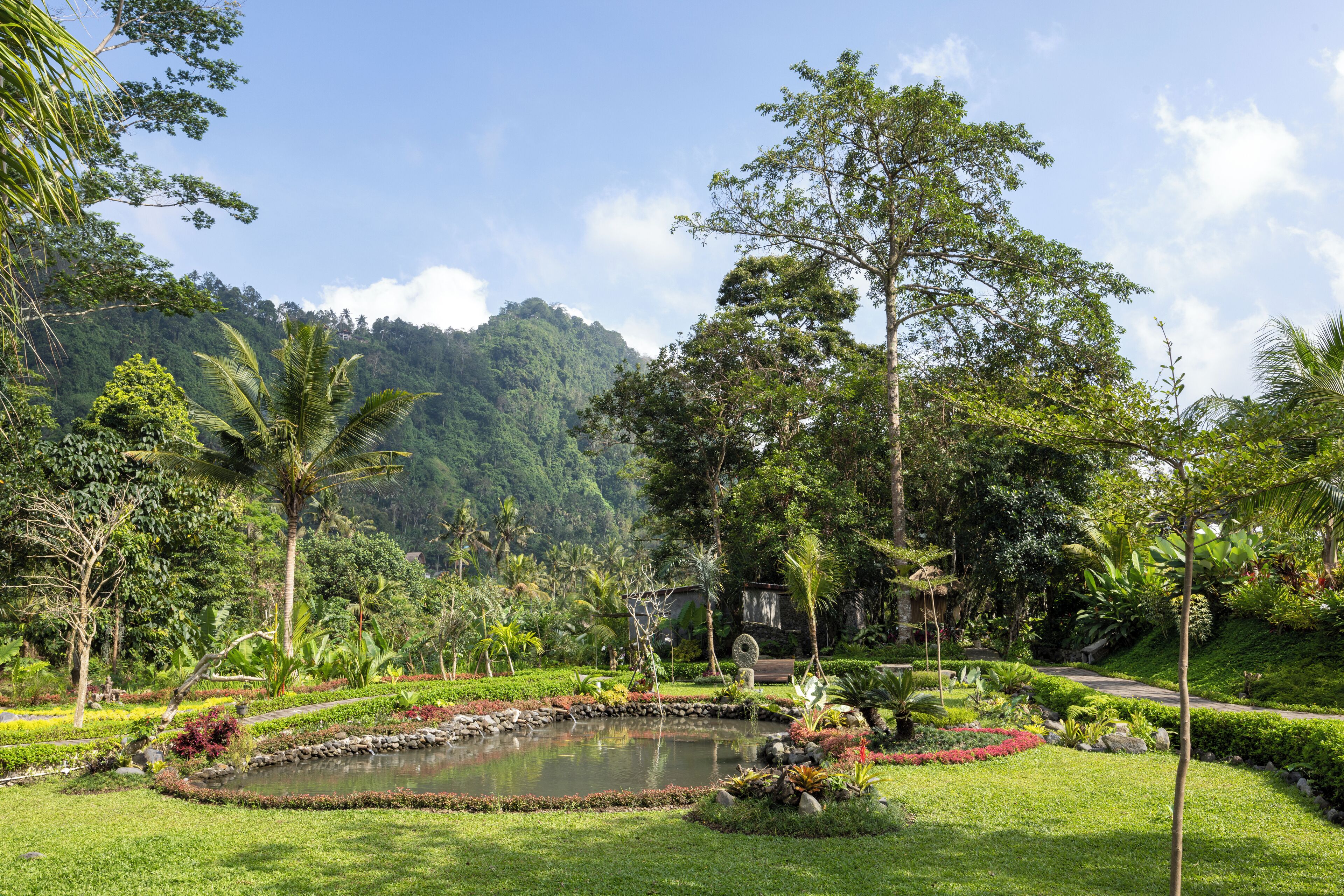 A lush garden with a pond, surrounded by various tropical plants and trees, with a mountain in the background.