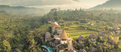 Disseny de l'edifici