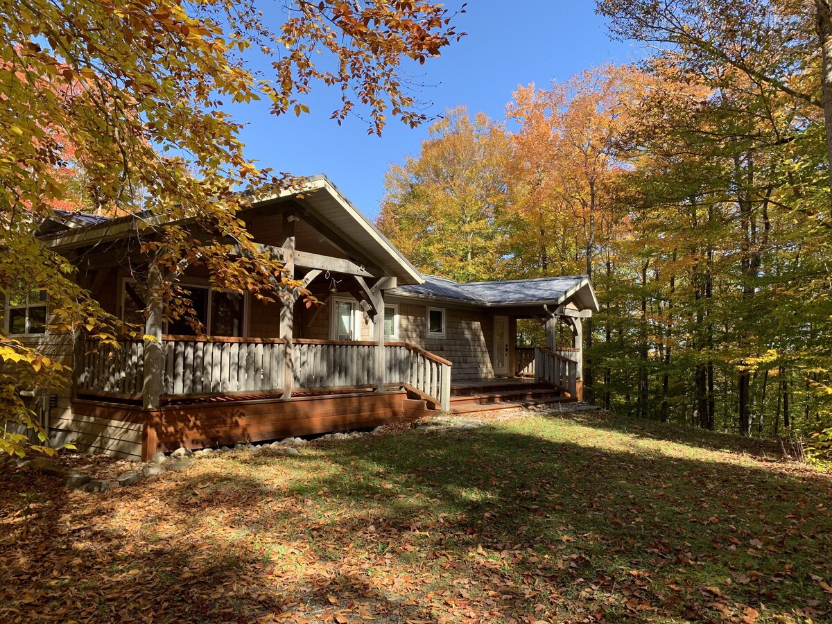 Imagen de perfil del propietario o de la propietaria