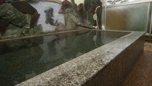 Un acuario de piedra con frente de vidrio, frente a una pared con un diseño rocoso decorativo.