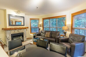 TV, fireplace, DVD player