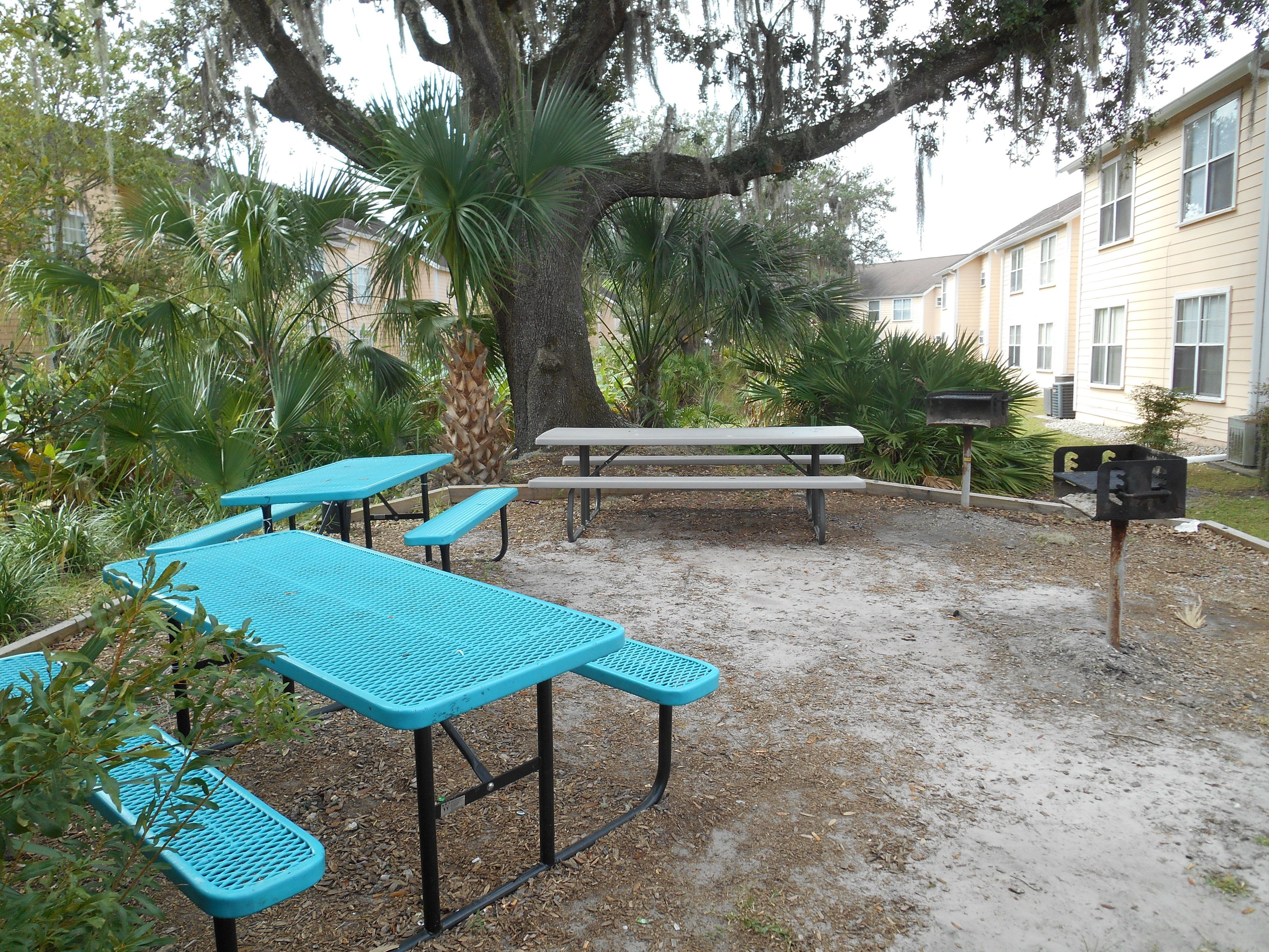 Photo - Mickey's Paradise