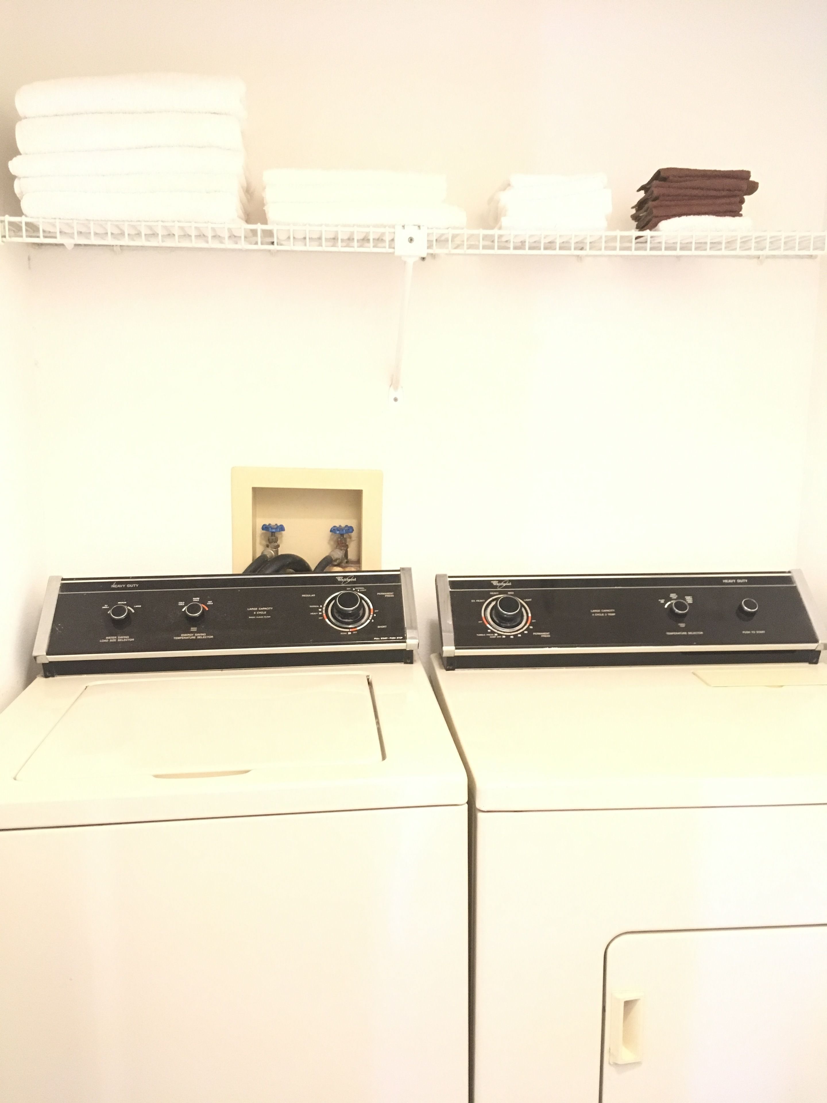 Photo - Mickey's Paradise