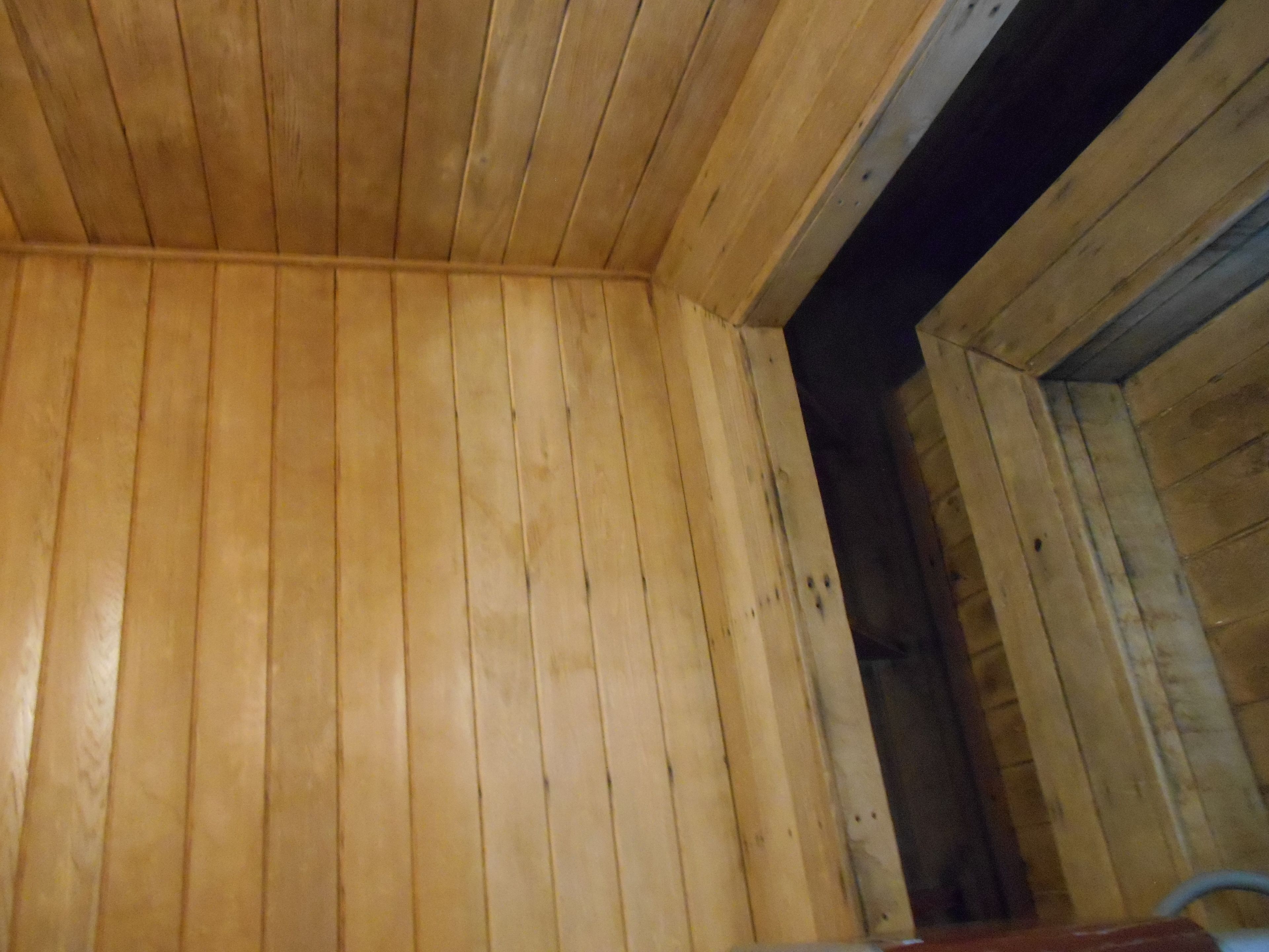 Photo - Mickey's Paradise