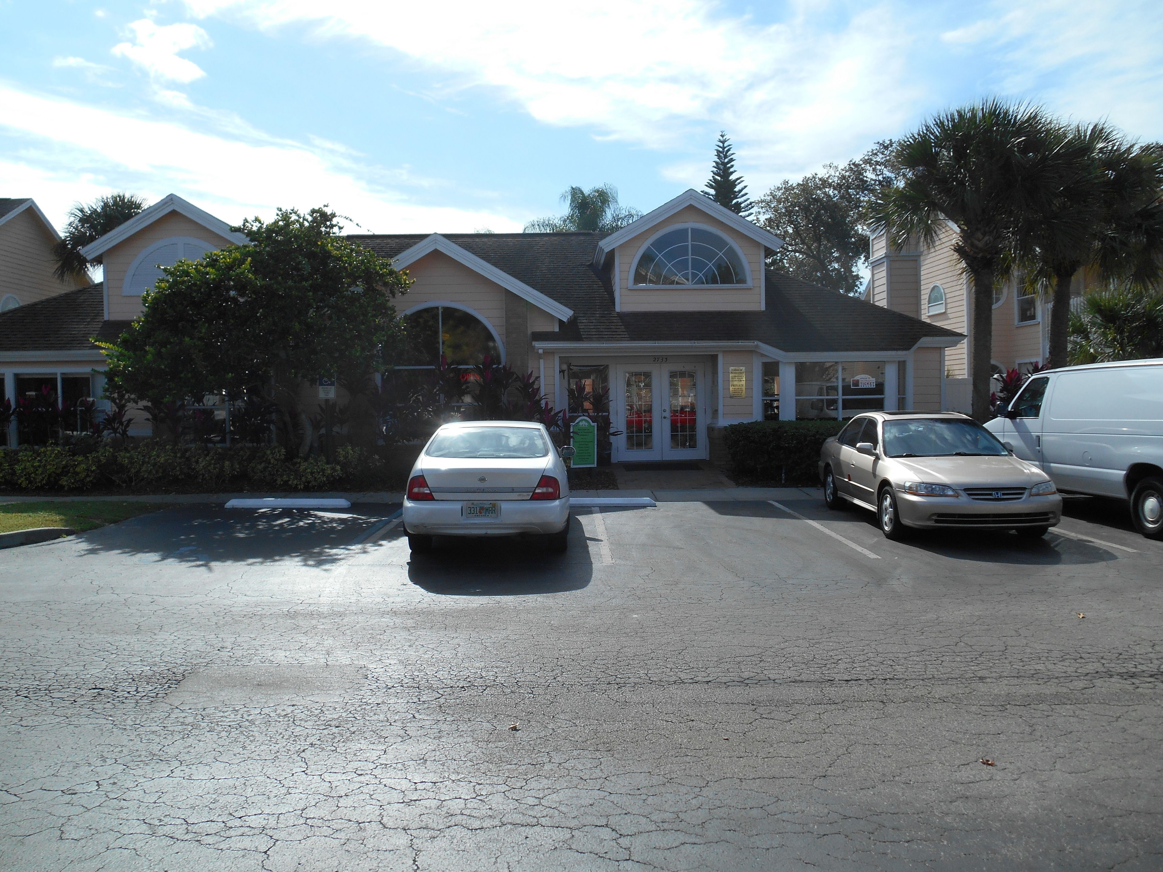 Photo - Mickey's Paradise