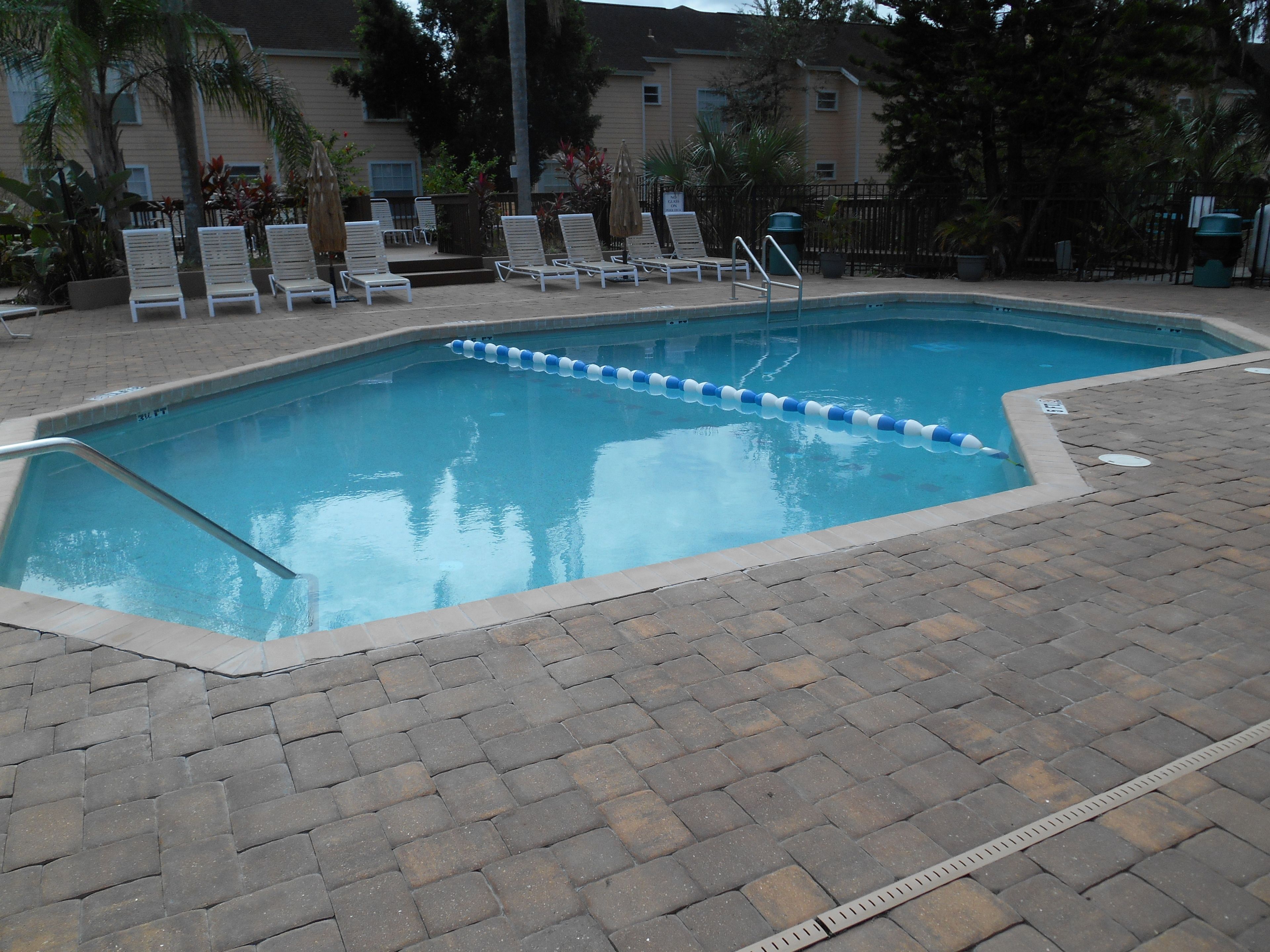 Photo - Mickey's Paradise