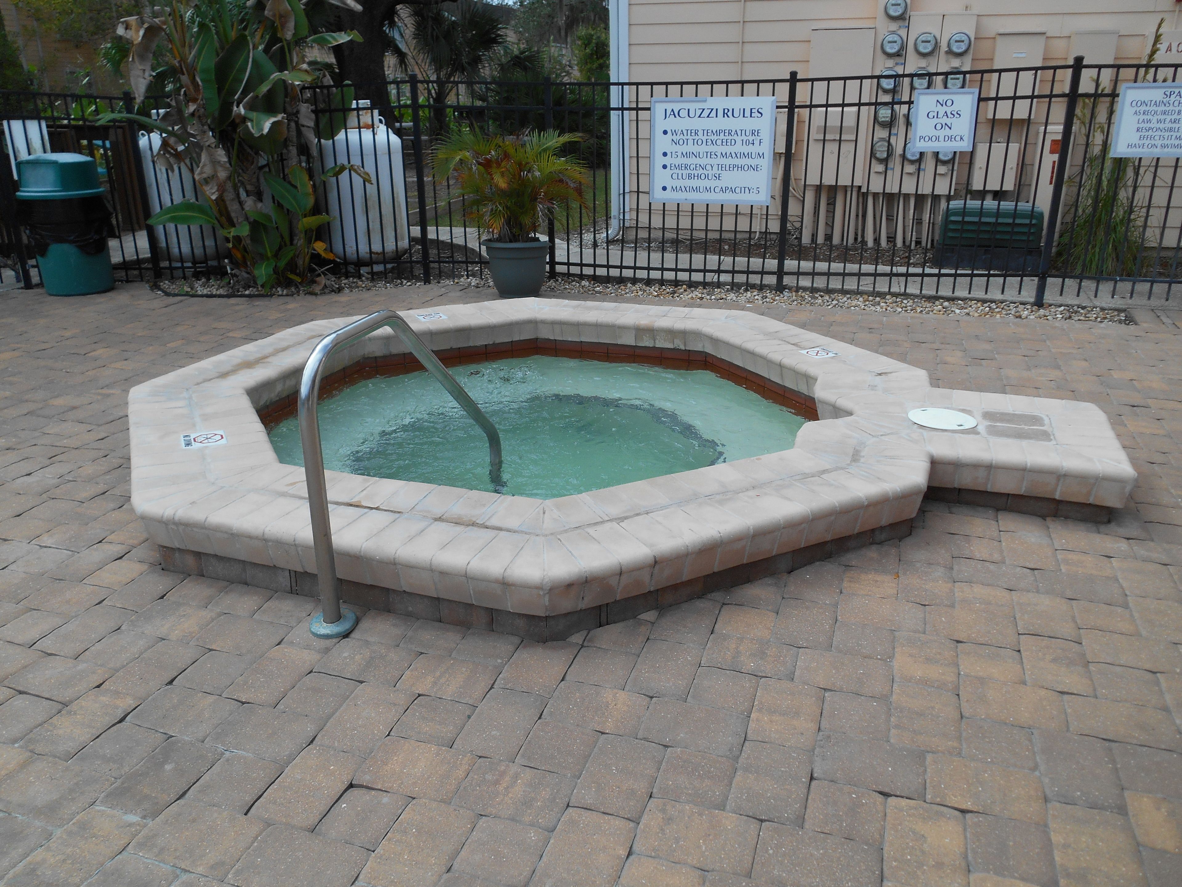 Photo - Mickey's Paradise