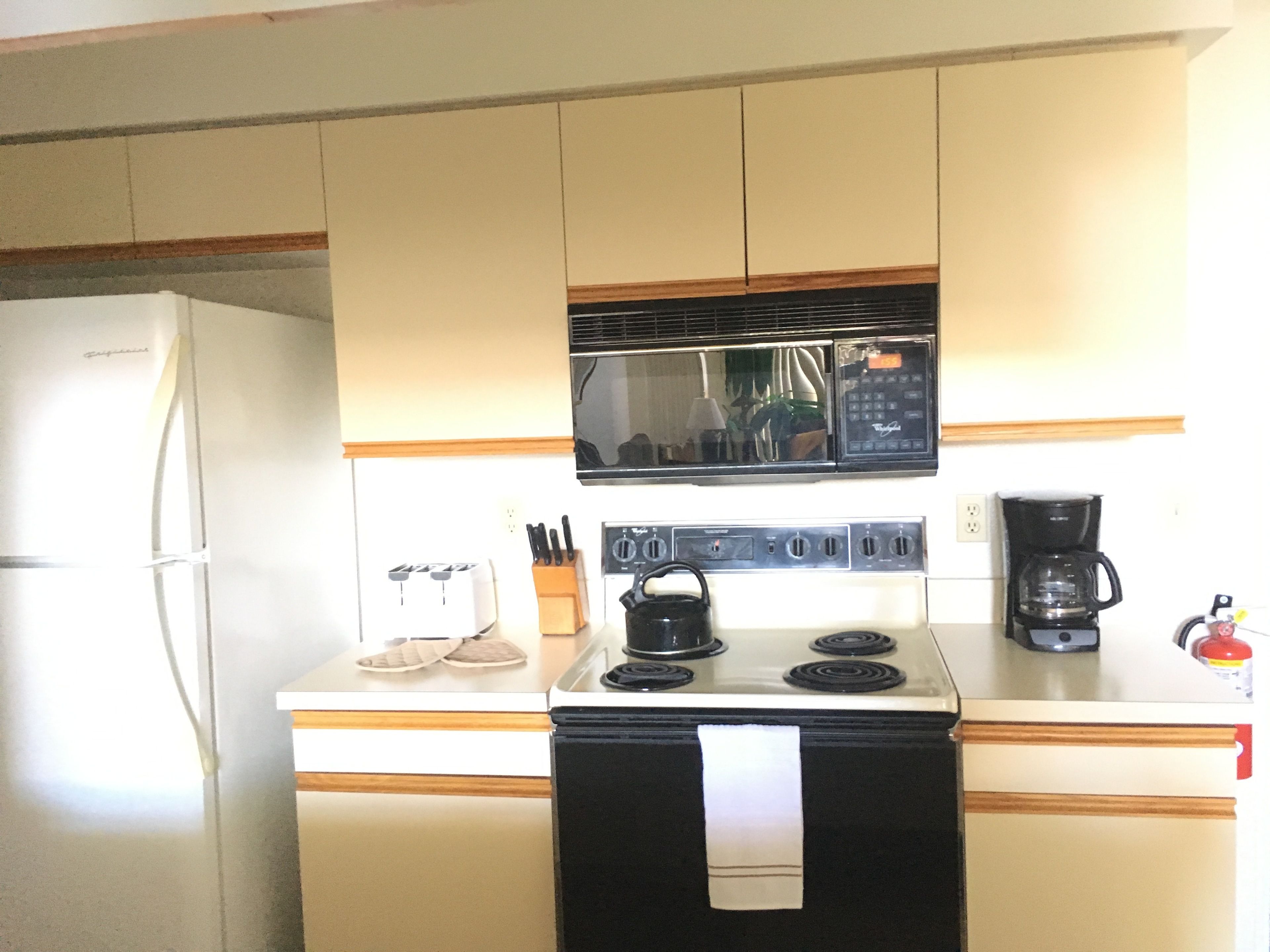 Photo - Mickey's Paradise