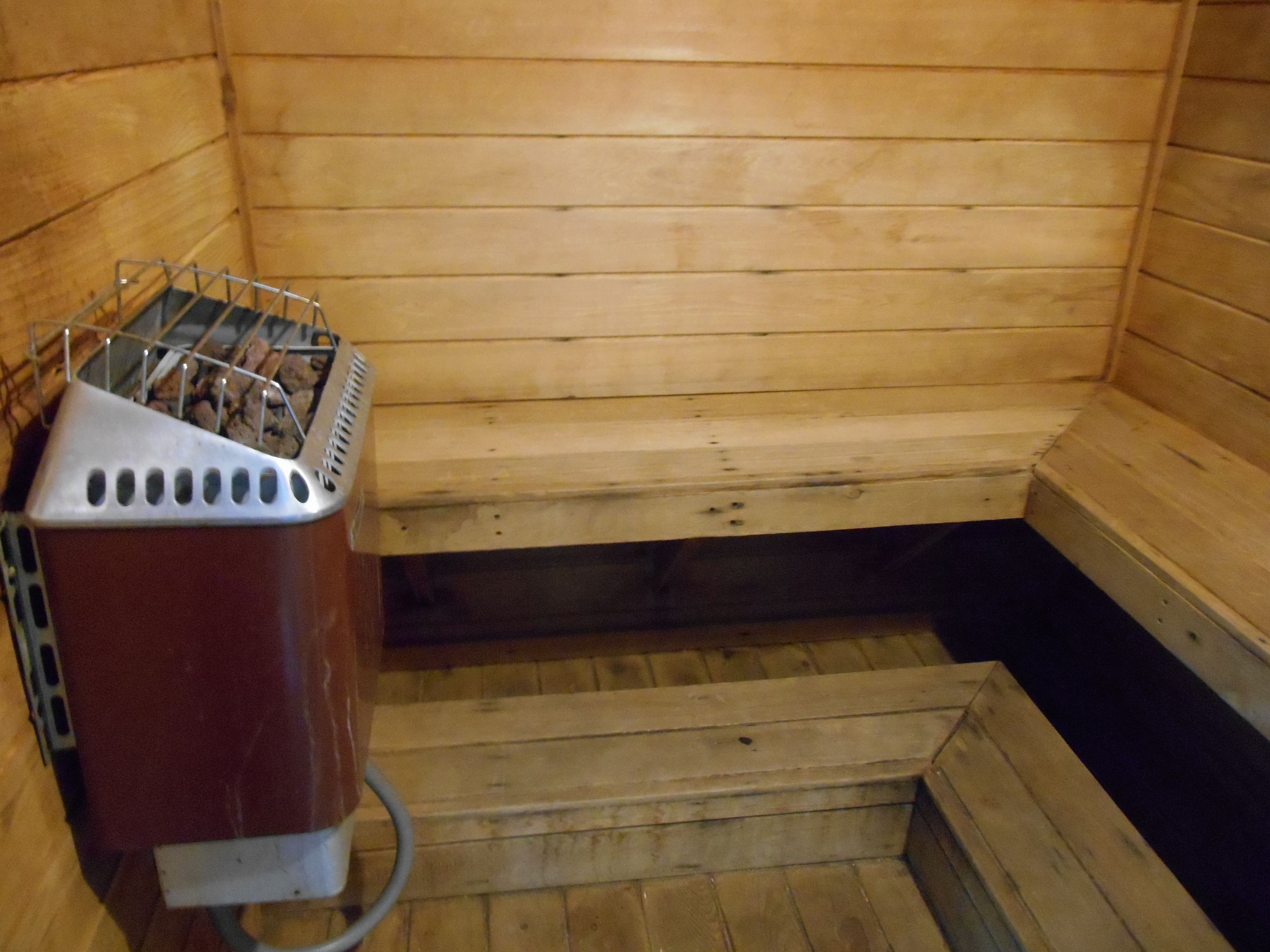 Photo - Mickey's Paradise