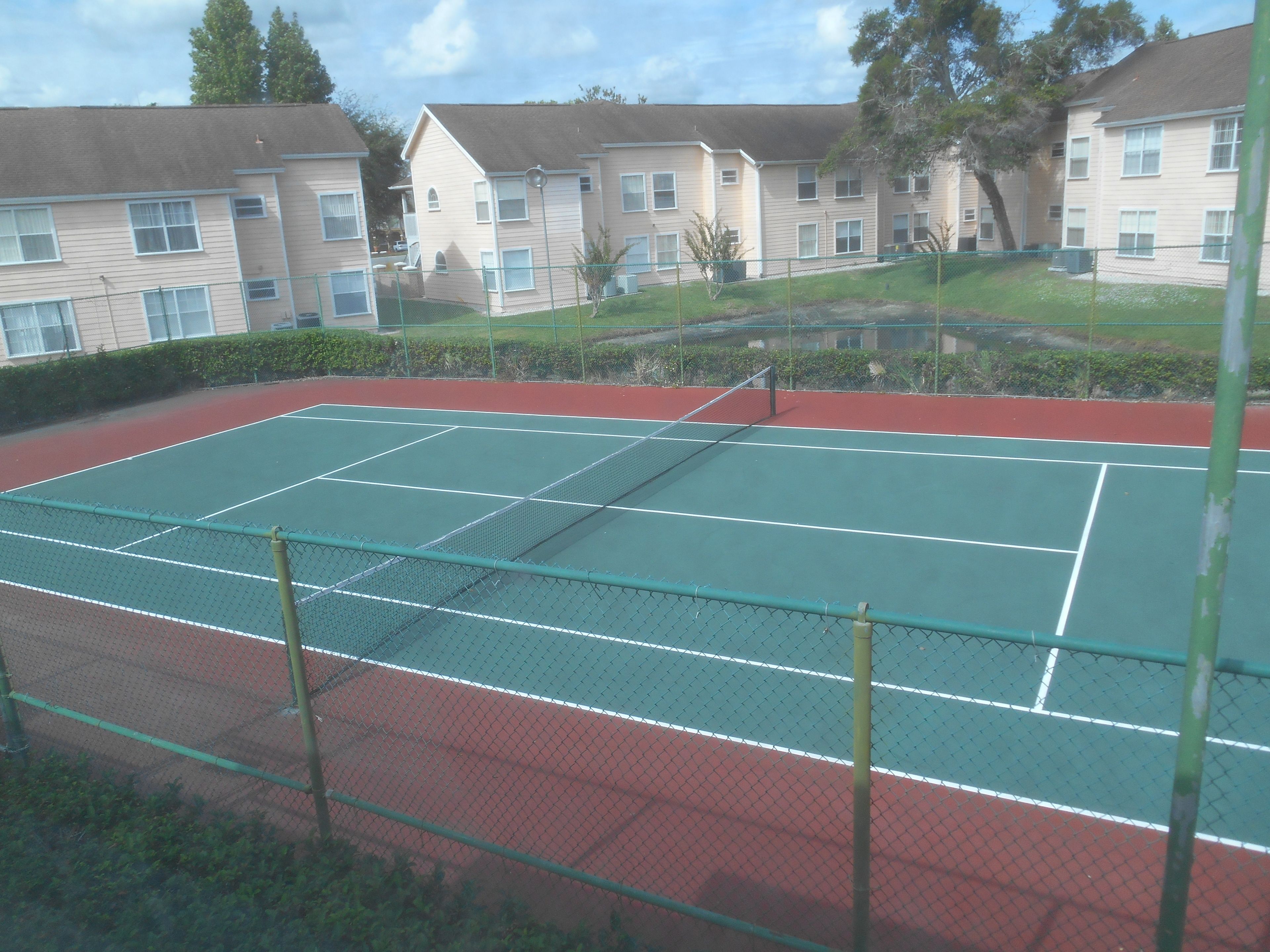 Photo - Mickey's Paradise