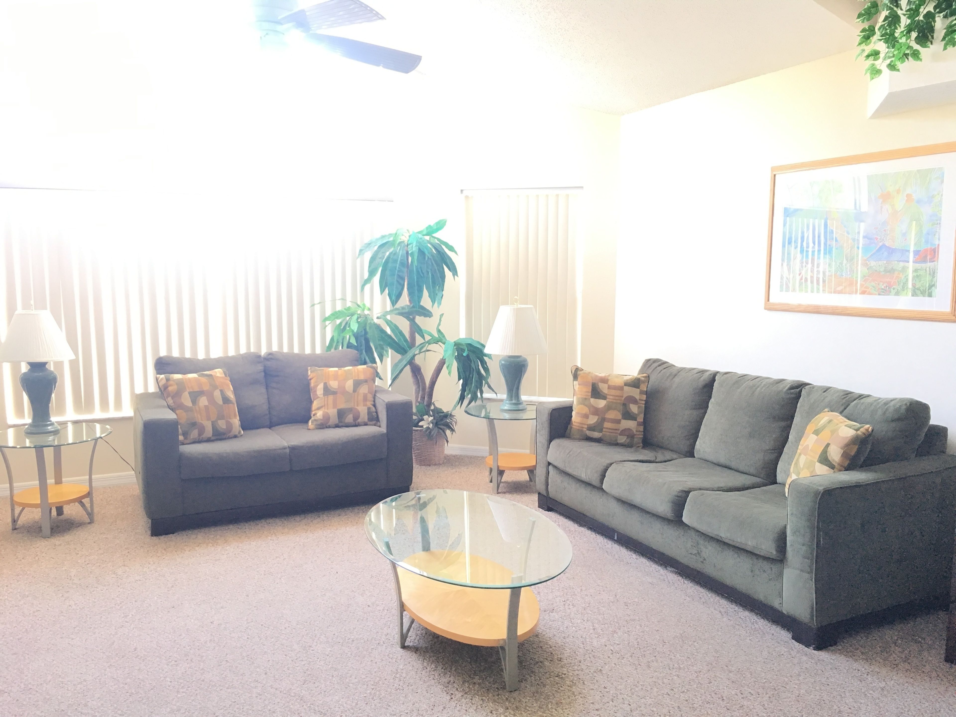 Photo - Mickey's Paradise