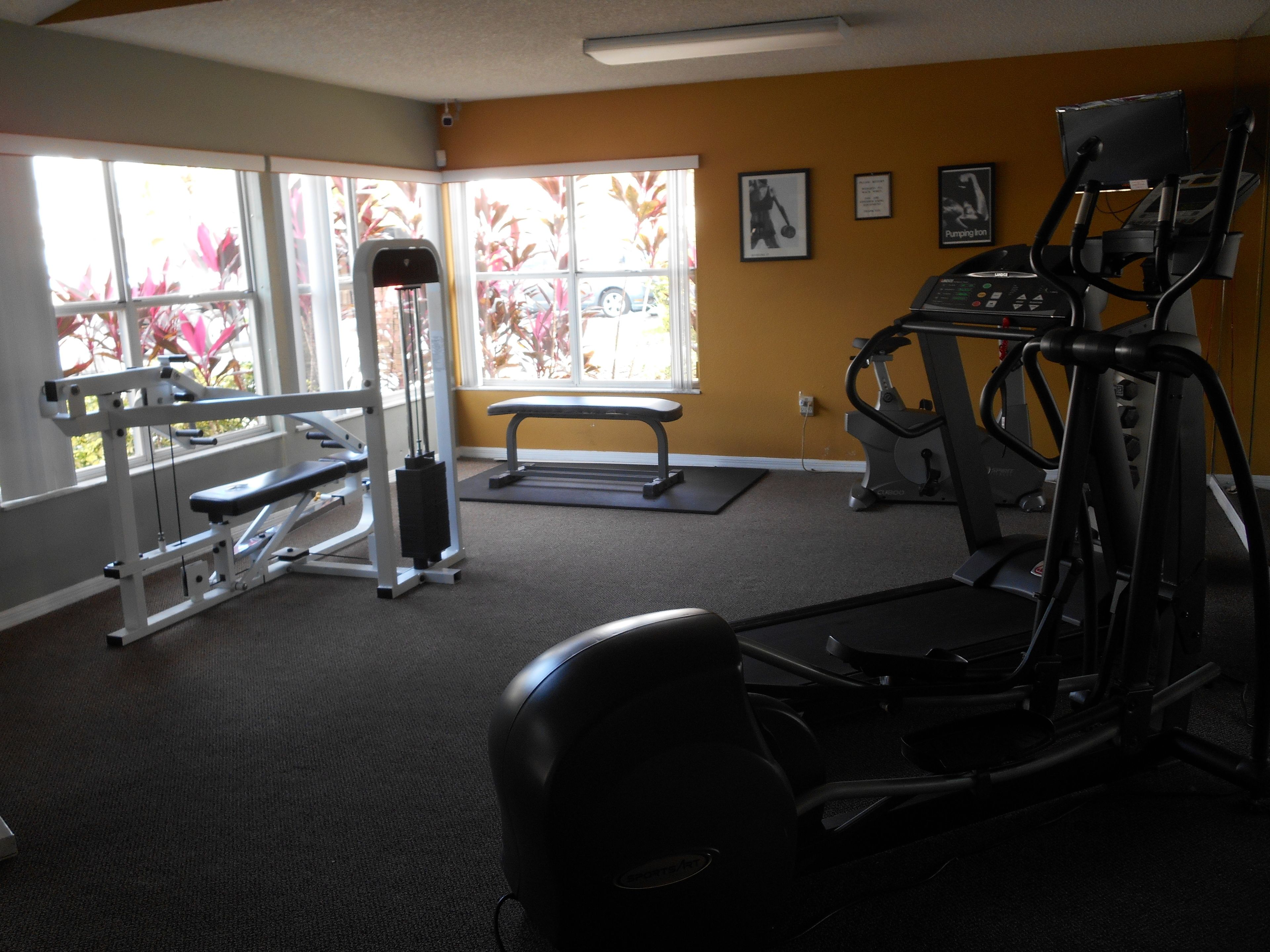 Photo - Mickey's Paradise