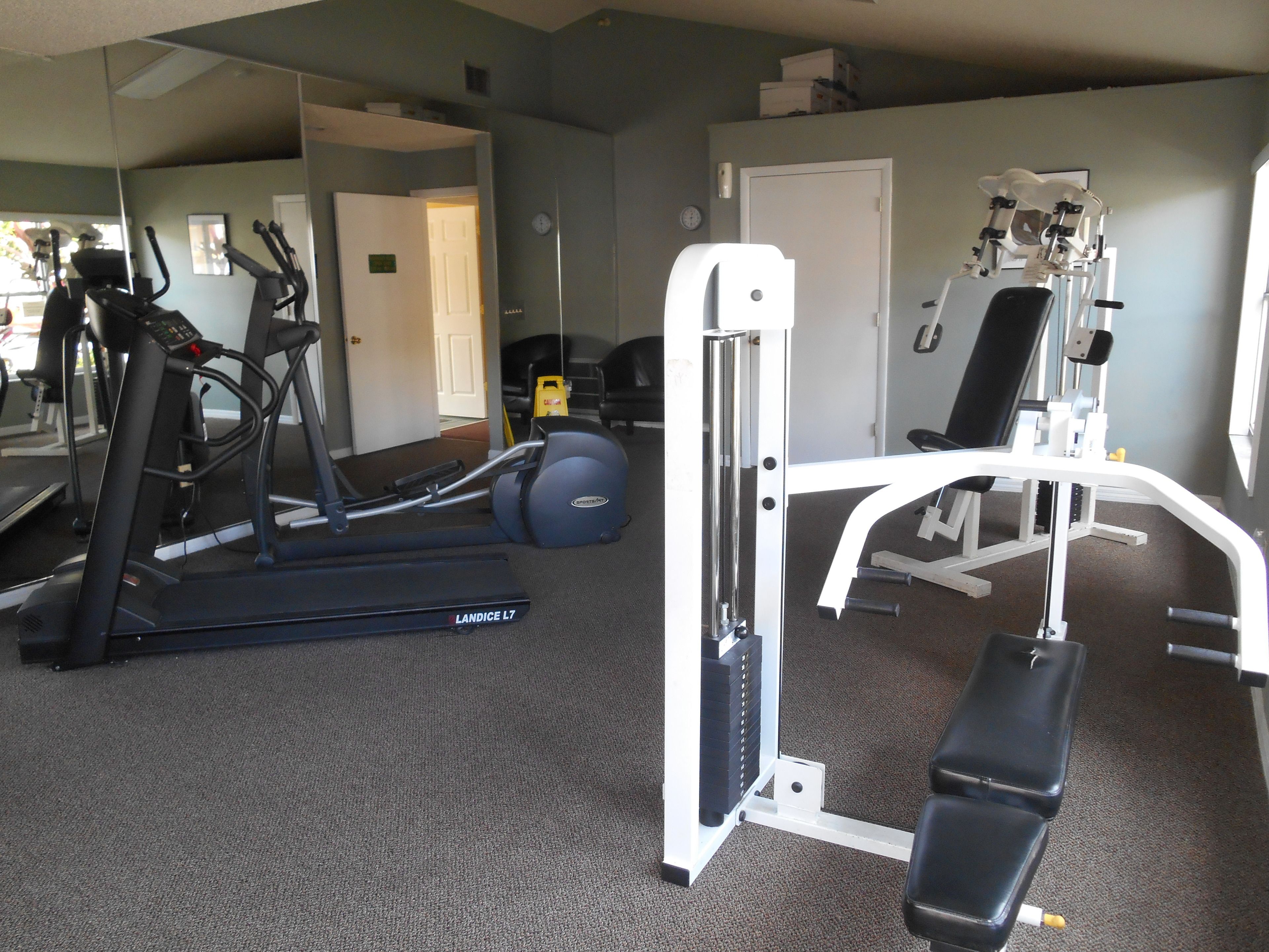 Photo - Mickey's Paradise