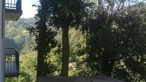 A balcony with a metal railing, a concrete ledge, and a view of a forested hillside. - Viewfront Ella (Ella)