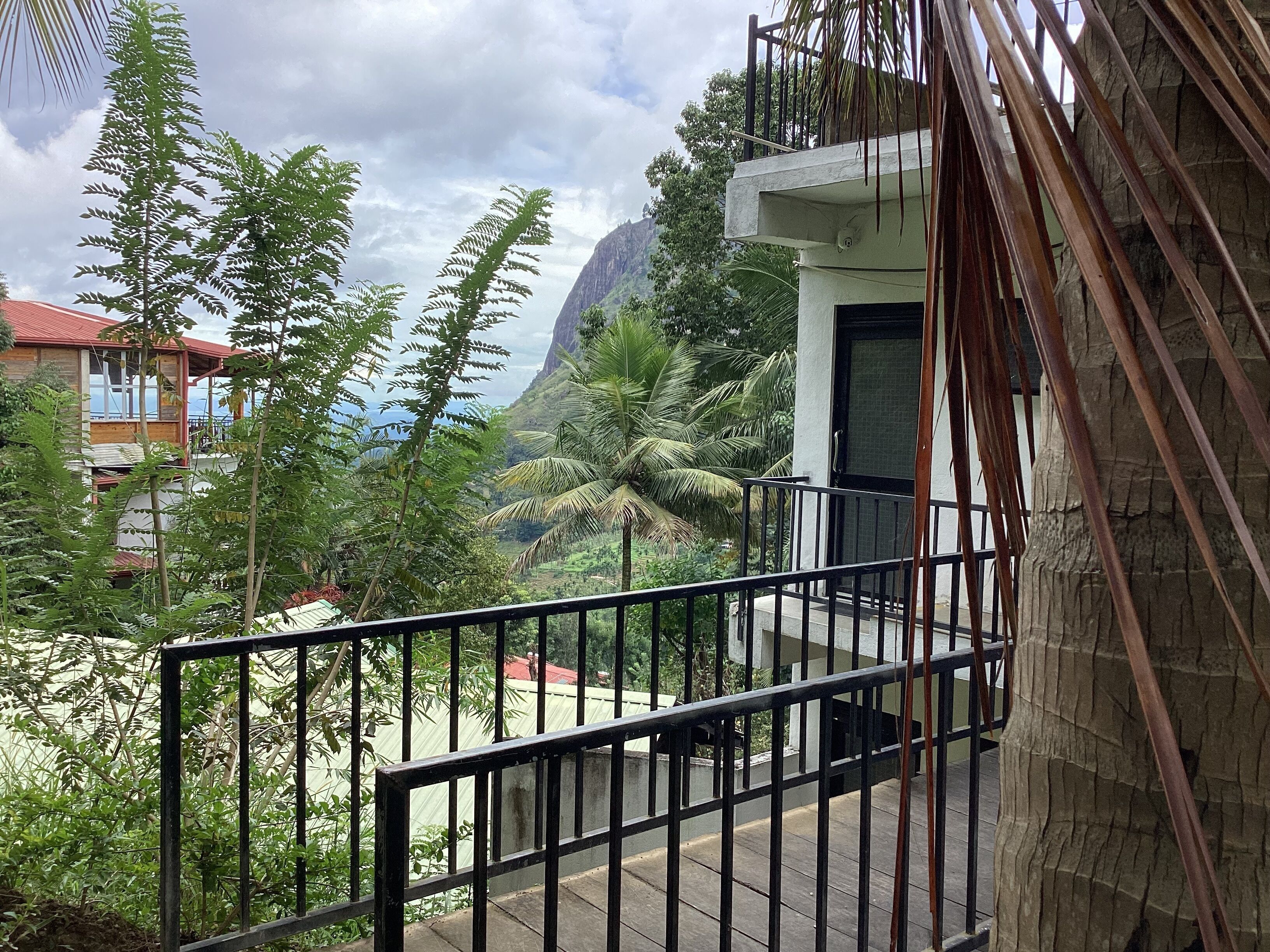 Foto - Viewfront Ella