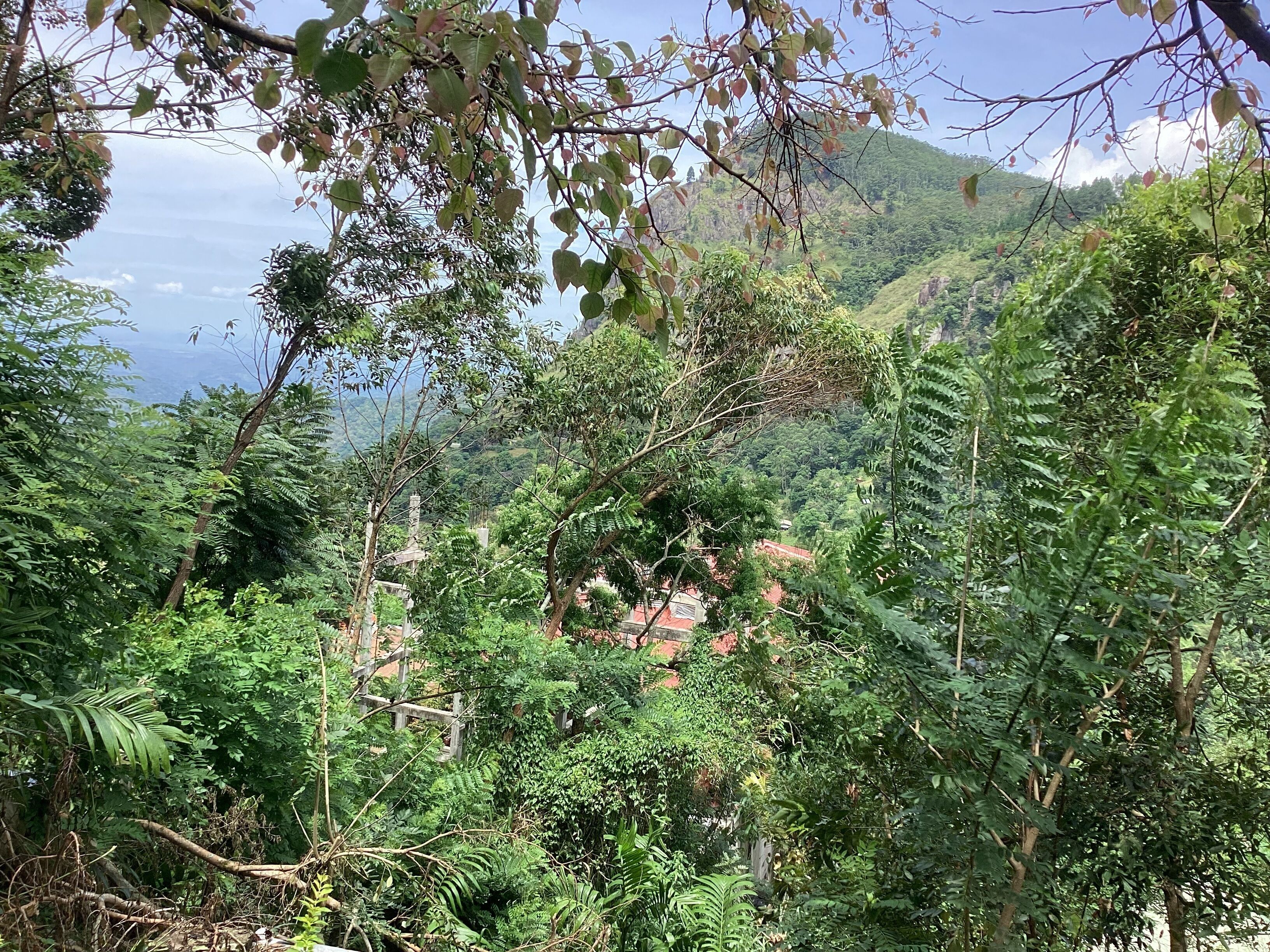 Foto - Viewfront Ella