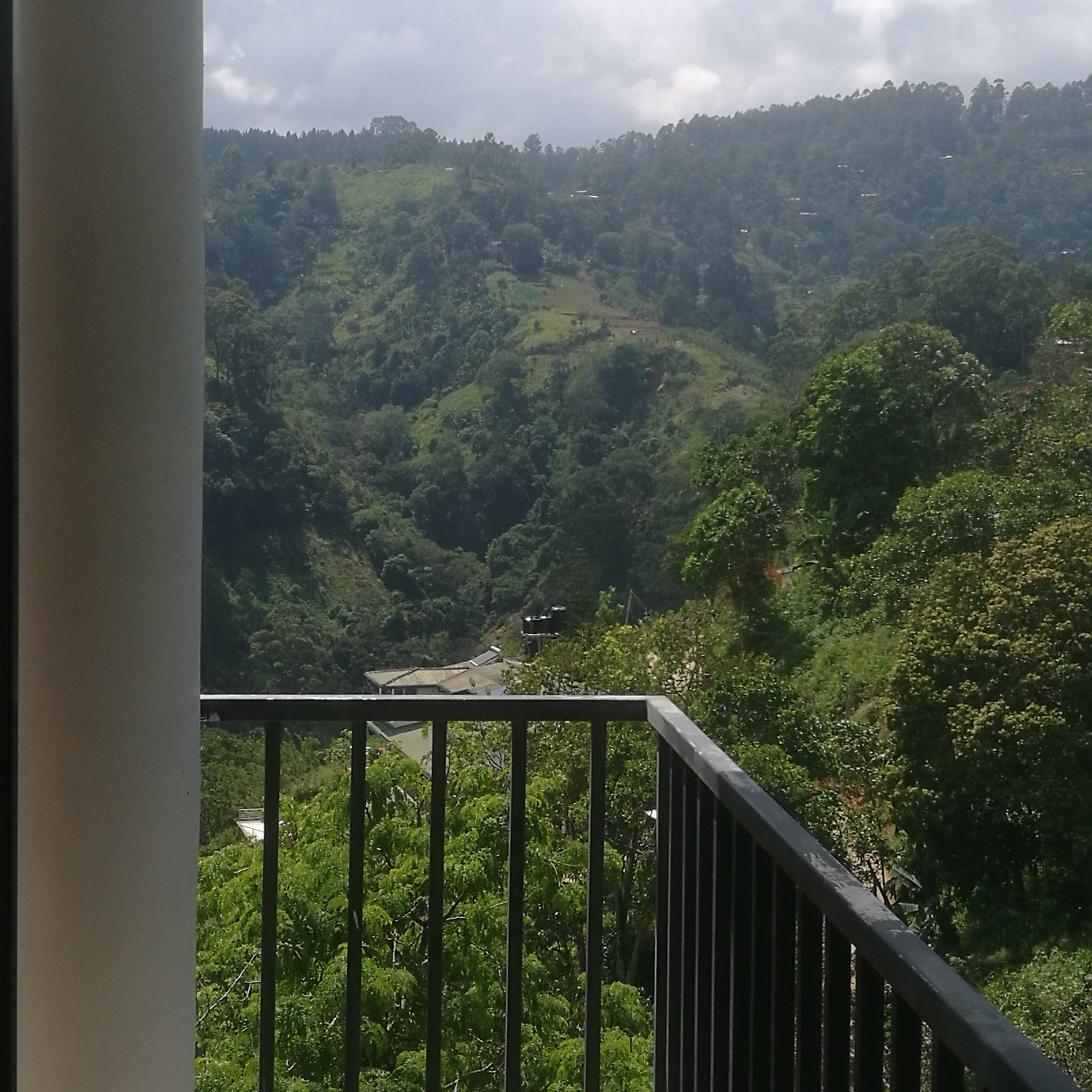 Foto - Viewfront Ella