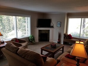 TV, fireplace, video games