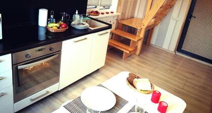 Agrousad'ba Malinovka